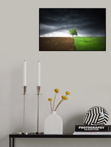 Lonely tree against a dramatic sky! Poster och Canvastavla