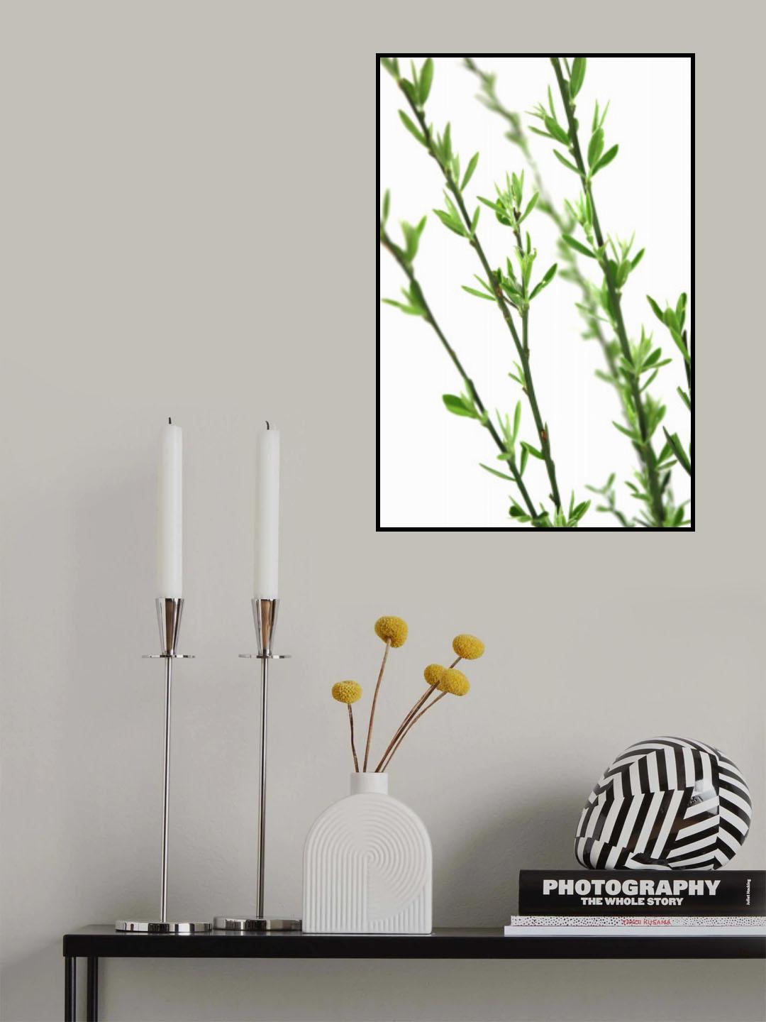 Green dainty branch Poster och Canvastavla