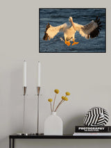 Landing Gear Poster och Canvastavla