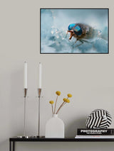 Hypnotized by these eyes Poster och Canvastavla