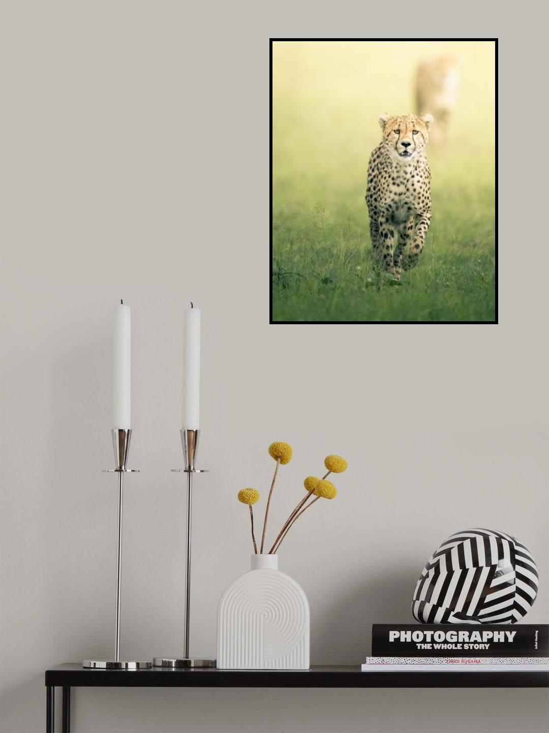 Poster och Canvastavla