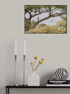 sweet sleep Poster och Canvastavla