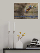 Tango with fish Poster och Canvastavla