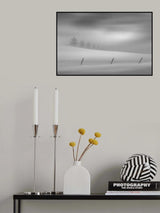 trees story Poster och Canvastavla