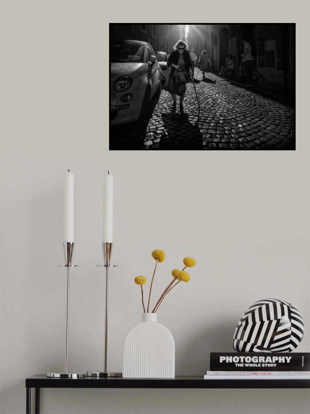 The old lady Poster och Canvastavla