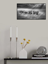 Breakfast with pachyderms Poster och Canvastavla