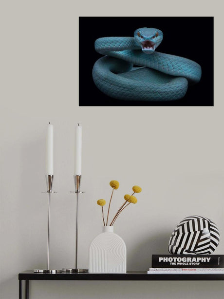 Angry Poster och Canvastavla