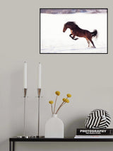 735W 2 Poster och Canvastavla