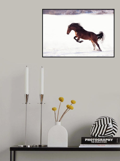 735W 2 Poster och Canvastavla