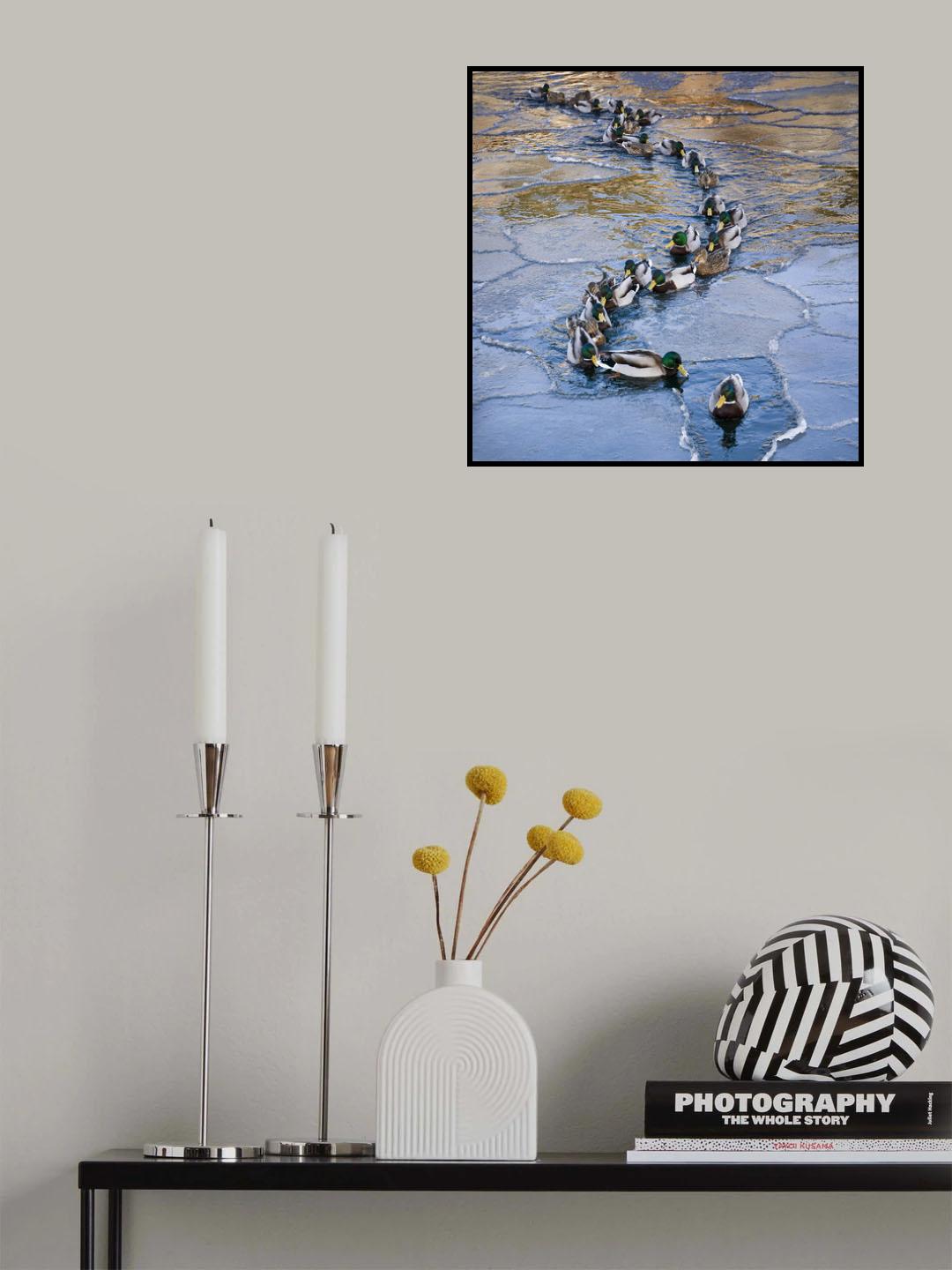 In a row Poster och Canvastavla