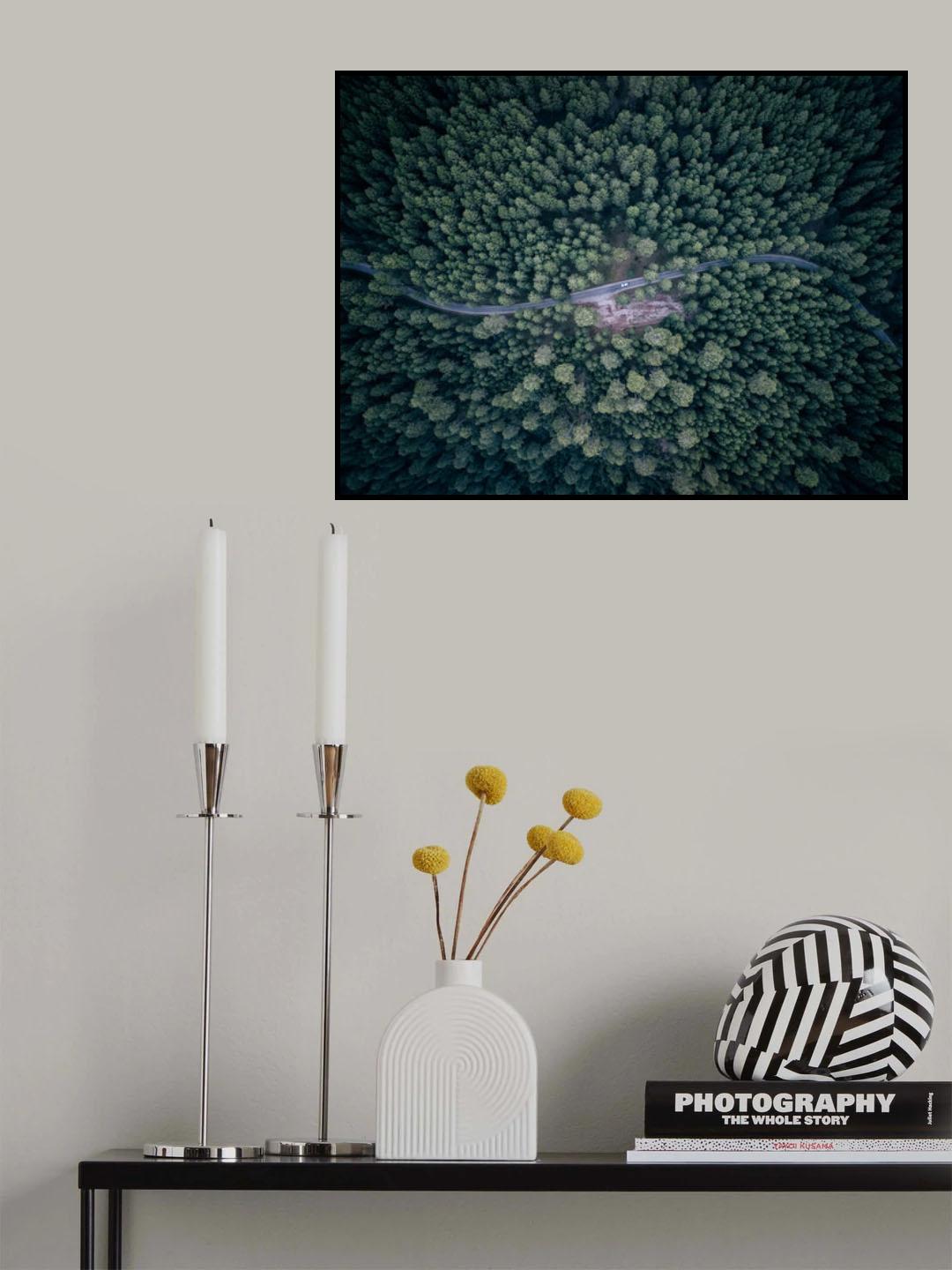 From above III Poster och Canvastavla