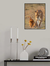 The Cuties Poster och Canvastavla