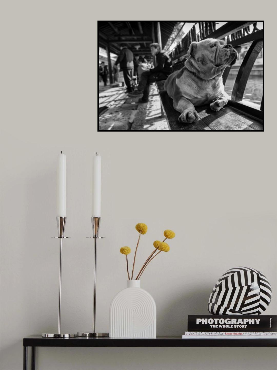 sad Poster och Canvastavla