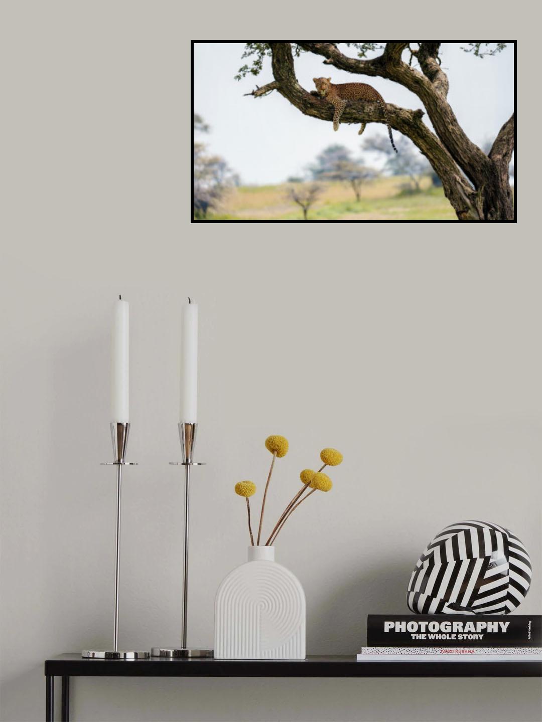 Getting hungry Poster och Canvastavla