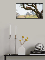 Getting hungry Poster och Canvastavla