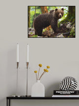 Brown Poster och Canvastavla