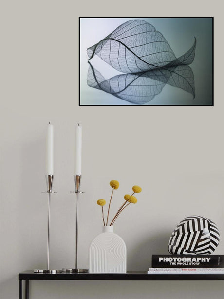 Curvaceousness Poster och Canvastavla