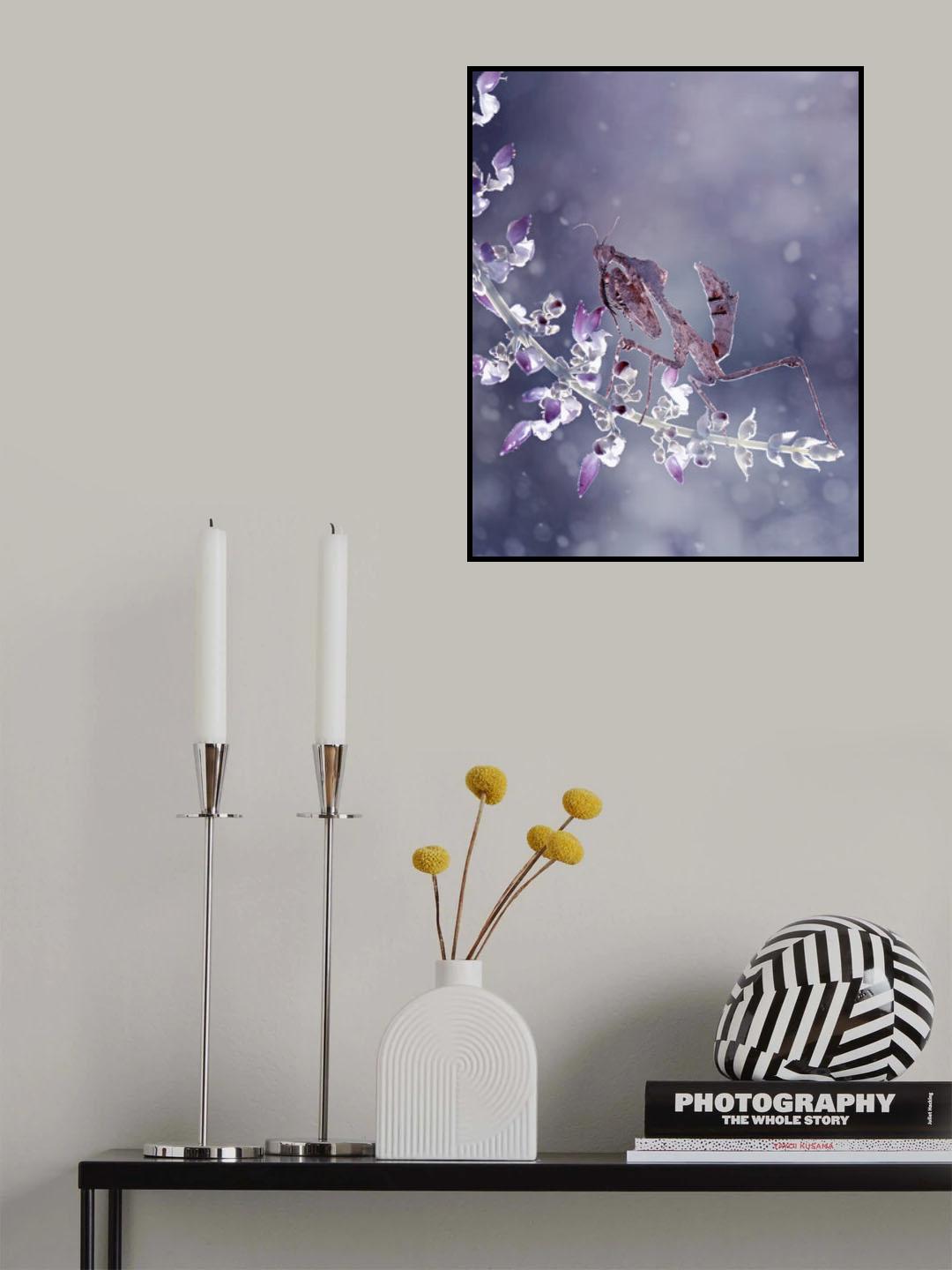 Winter is Coming Poster och Canvastavla