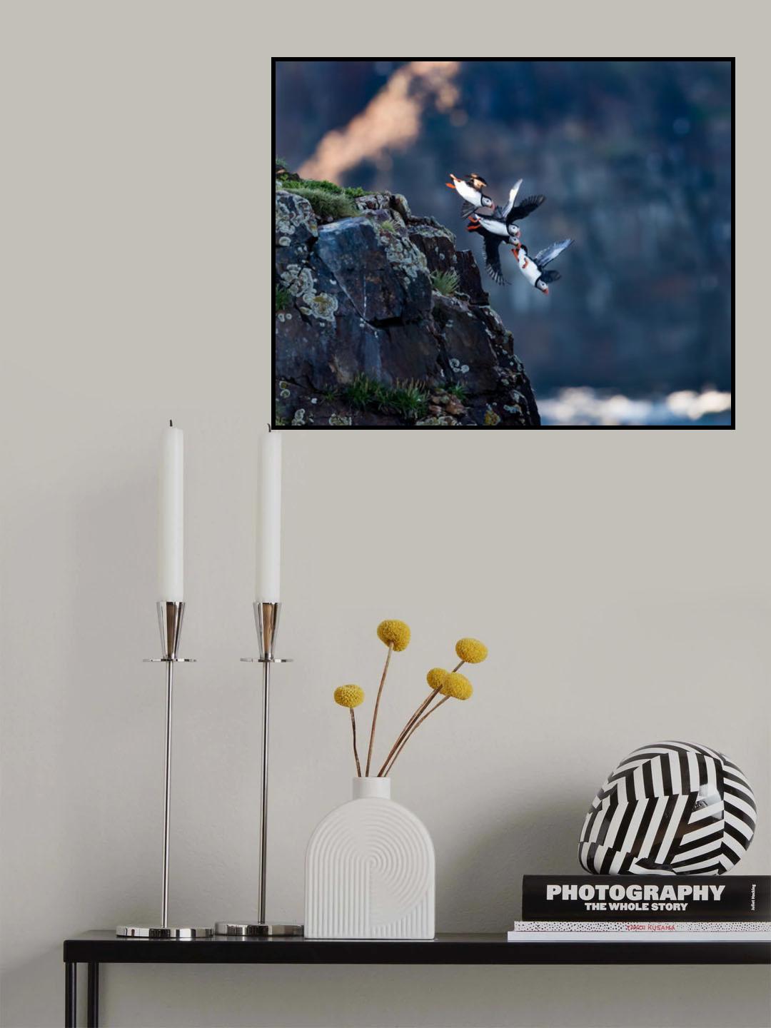 Let's go fishing Poster och Canvastavla