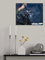 Let's go fishing Poster och Canvastavla