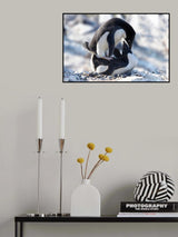 Two Adelie Poster och Canvastavla