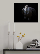 griffon vulture Poster och Canvastavla