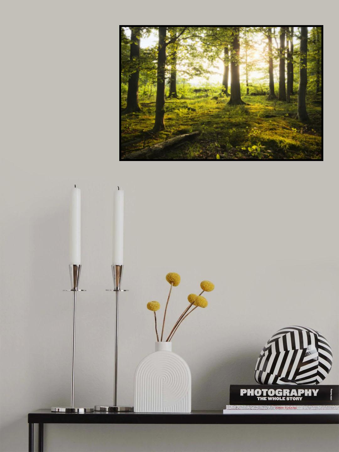 Summer in the Woods Poster och Canvastavla