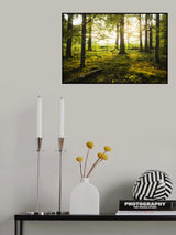 Summer in the Woods Poster och Canvastavla