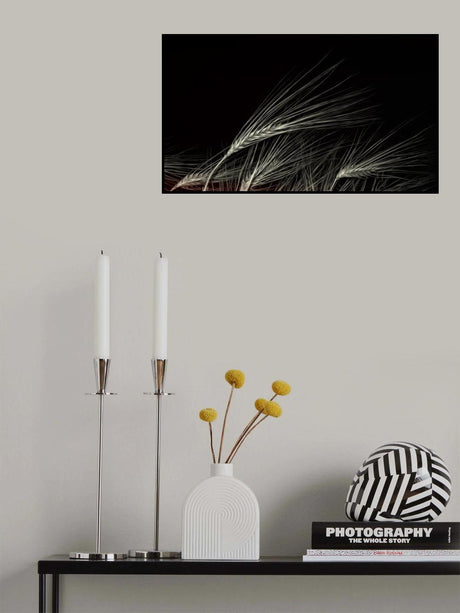 grain of life Poster och Canvastavla