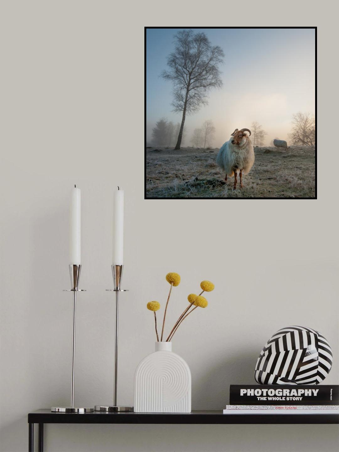 Good morning............ Poster och Canvastavla