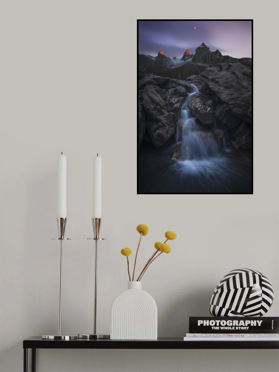 Sculpture of Nature Poster och Canvastavla