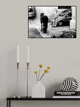 Man with Horse in Palermo Sicily Poster och Canvastavla