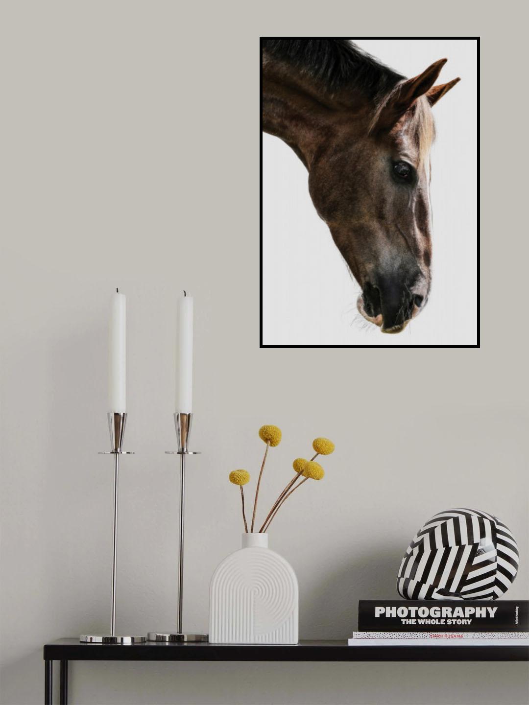 Kalimazoo Poster och Canvastavla
