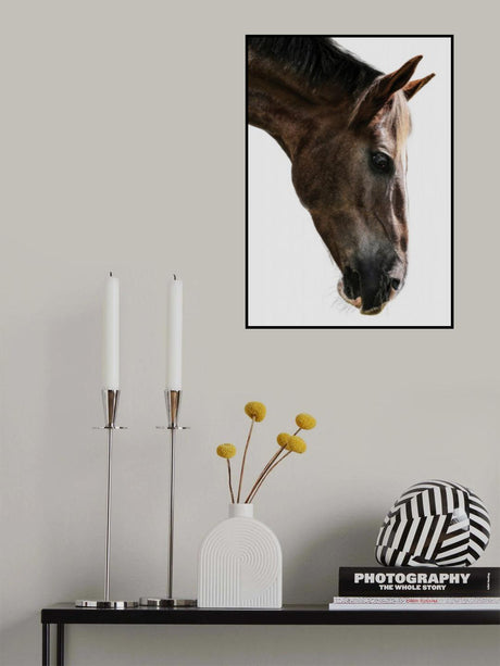 Kalimazoo Poster och Canvastavla