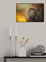 GIVE ME A SIGN Poster och Canvastavla