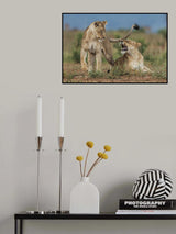 Sisters Poster och Canvastavla