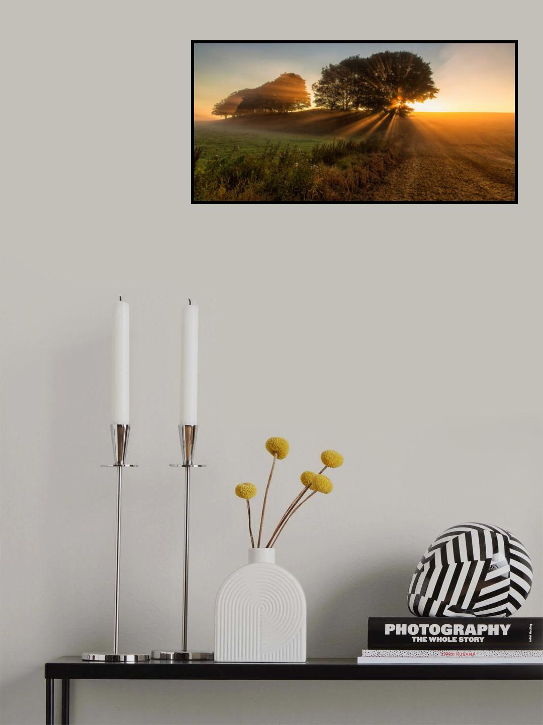 Sunbeams Poster och Canvastavla