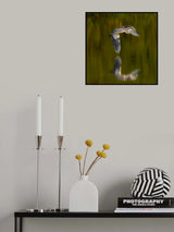 shadow Poster och Canvastavla