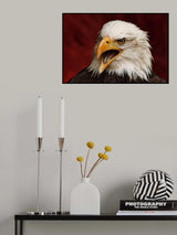 Angry bird Poster och Canvastavla