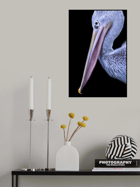 Poster och Canvastavla