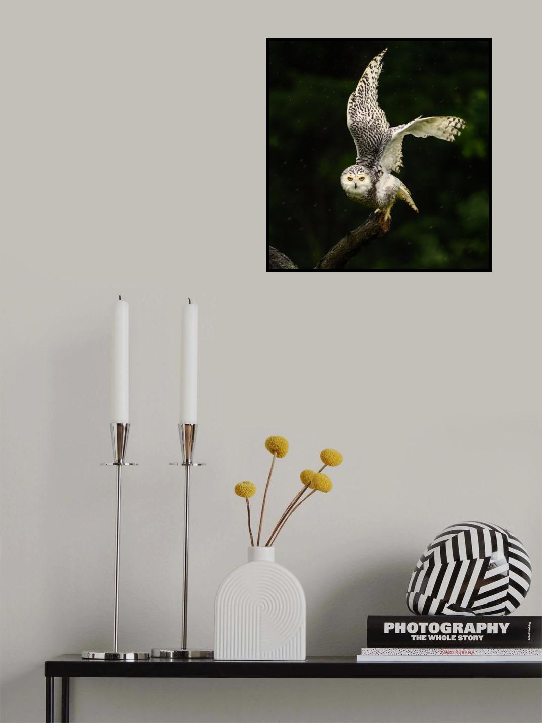 Rainy Day Poster och Canvastavla