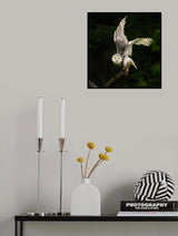 Rainy Day Poster och Canvastavla