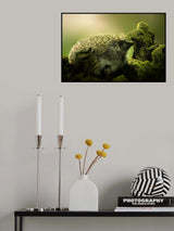 Hedgehog II Poster och Canvastavla