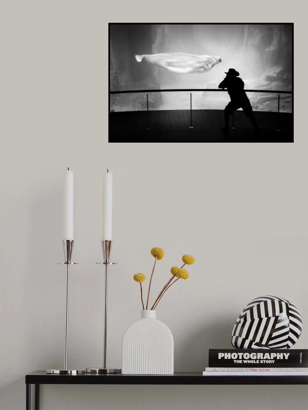 Photographer and beluga Poster och Canvastavla