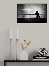 Photographer and beluga Poster och Canvastavla
