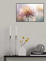 Gentle Pink Flower Poster och Canvastavla
