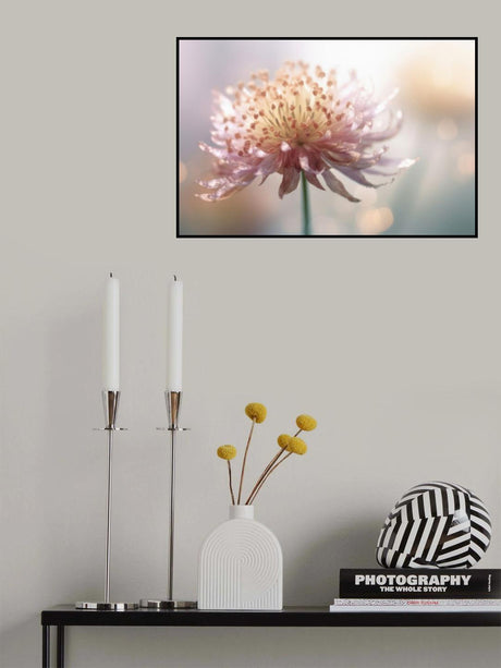 Gentle Pink Flower Poster och Canvastavla