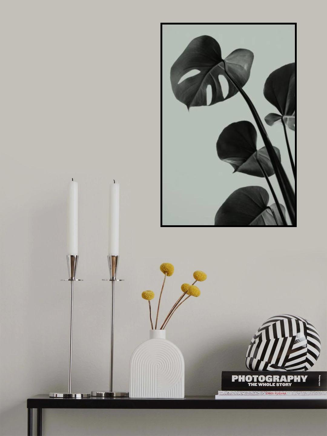 Monstera Teal 04 Poster och Canvastavla