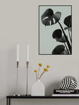 Monstera Teal 04 Poster och Canvastavla