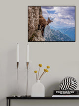 On the cliff Poster och Canvastavla